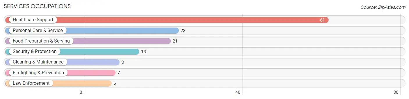 Services Occupations in Zip Code 63876