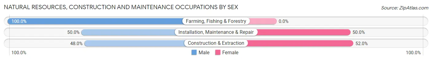 Natural Resources, Construction and Maintenance Occupations by Sex in Zip Code 63879