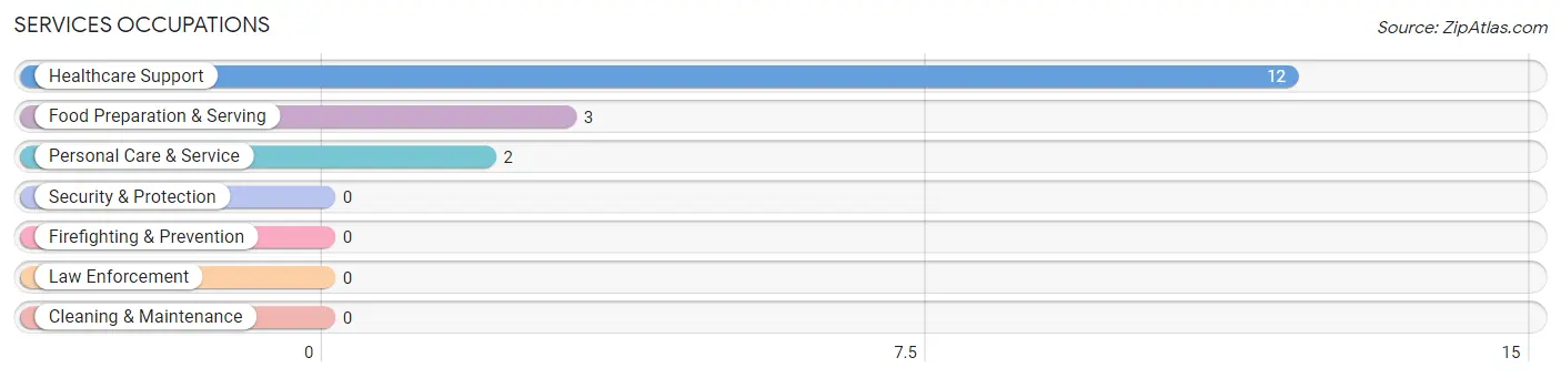 Services Occupations in Zip Code 63882