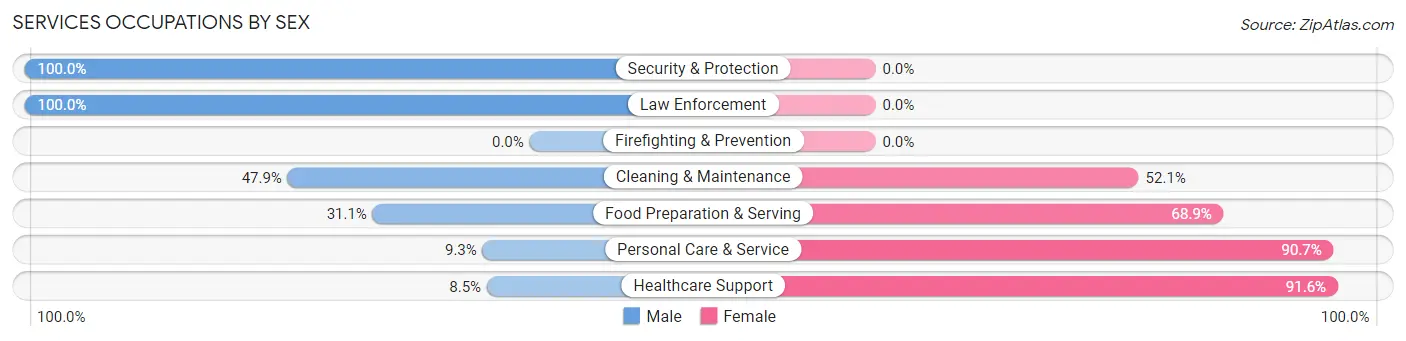 Services Occupations by Sex in Zip Code 63935