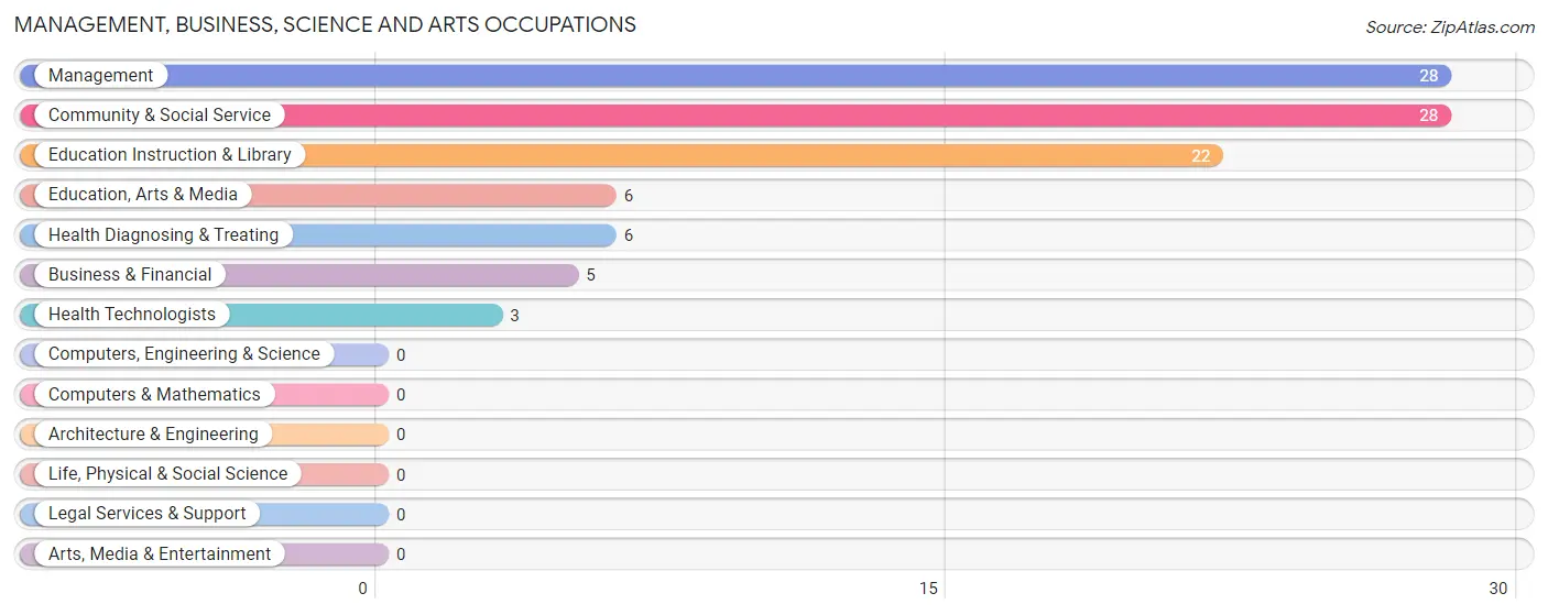 Management, Business, Science and Arts Occupations in Zip Code 63942