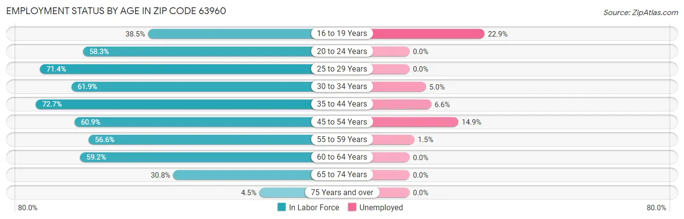 Employment Status by Age in Zip Code 63960