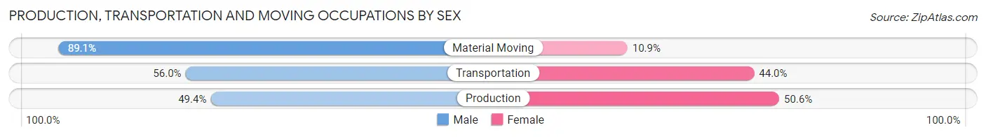 Production, Transportation and Moving Occupations by Sex in Zip Code 64020