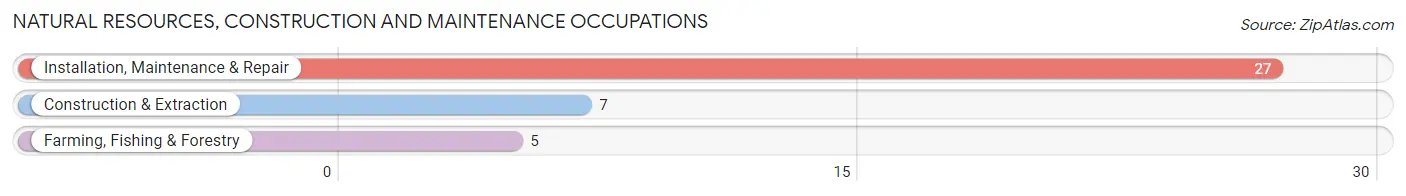 Natural Resources, Construction and Maintenance Occupations in Zip Code 64021