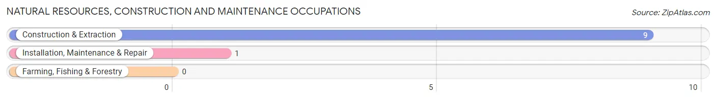 Natural Resources, Construction and Maintenance Occupations in Zip Code 64022