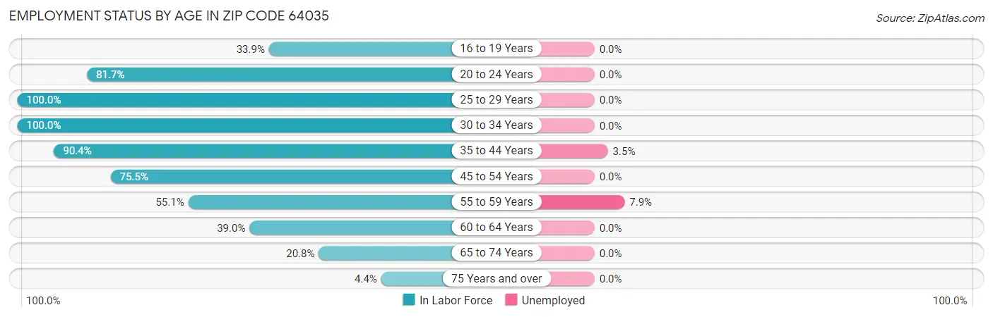 Employment Status by Age in Zip Code 64035
