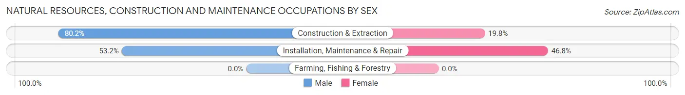 Natural Resources, Construction and Maintenance Occupations by Sex in Zip Code 64053