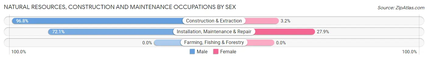 Natural Resources, Construction and Maintenance Occupations by Sex in Zip Code 64058