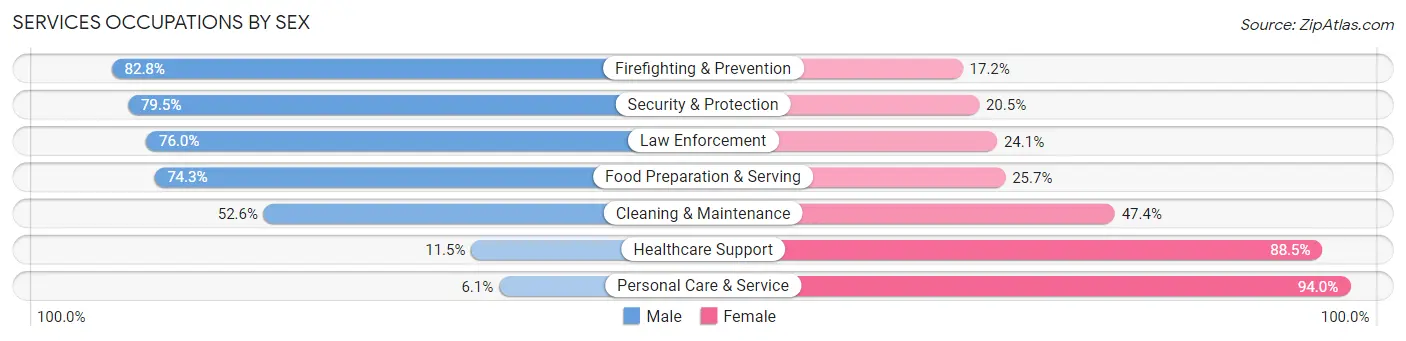 Services Occupations by Sex in Zip Code 64063