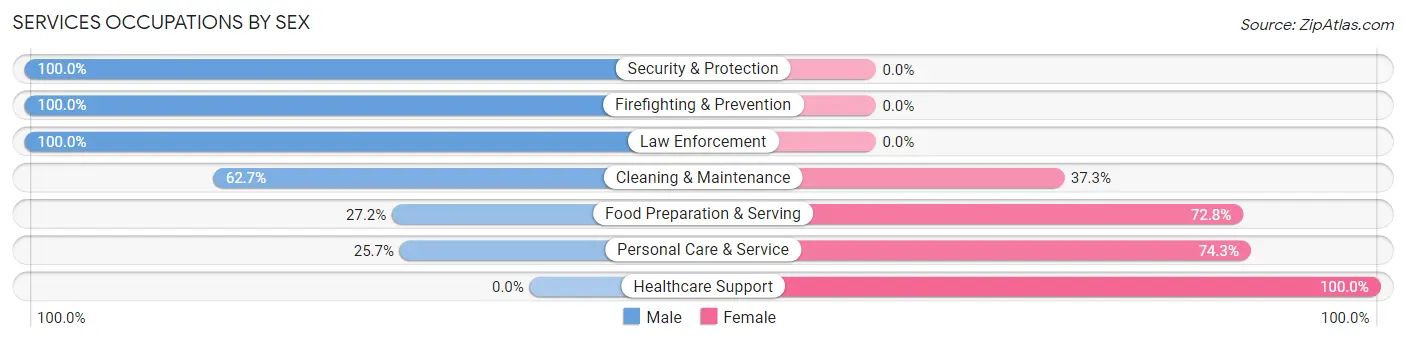 Services Occupations by Sex in Zip Code 64078