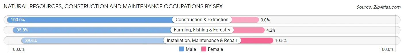 Natural Resources, Construction and Maintenance Occupations by Sex in Zip Code 64089