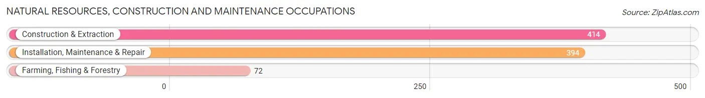 Natural Resources, Construction and Maintenance Occupations in Zip Code 64093