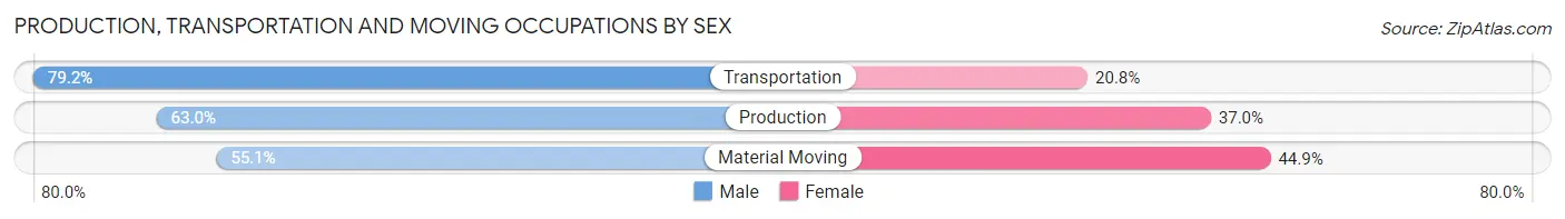 Production, Transportation and Moving Occupations by Sex in Zip Code 64093