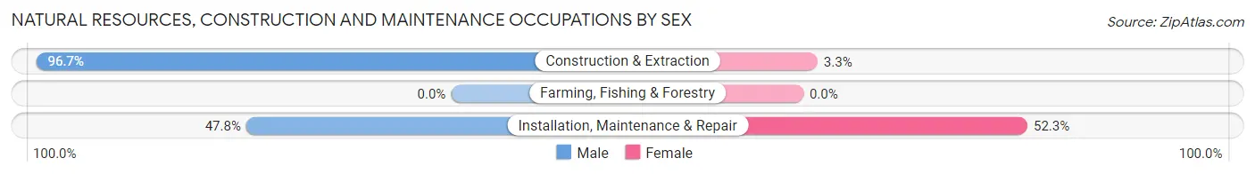 Natural Resources, Construction and Maintenance Occupations by Sex in Zip Code 64108