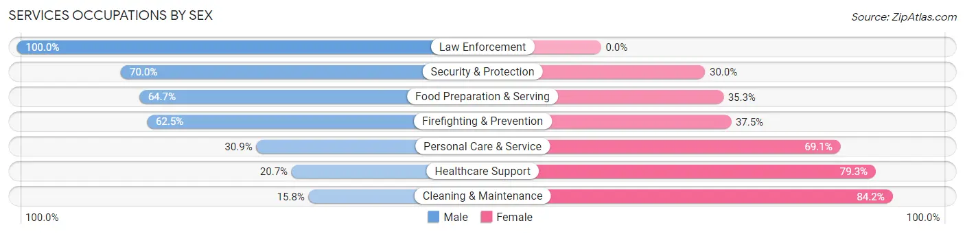 Services Occupations by Sex in Zip Code 64109