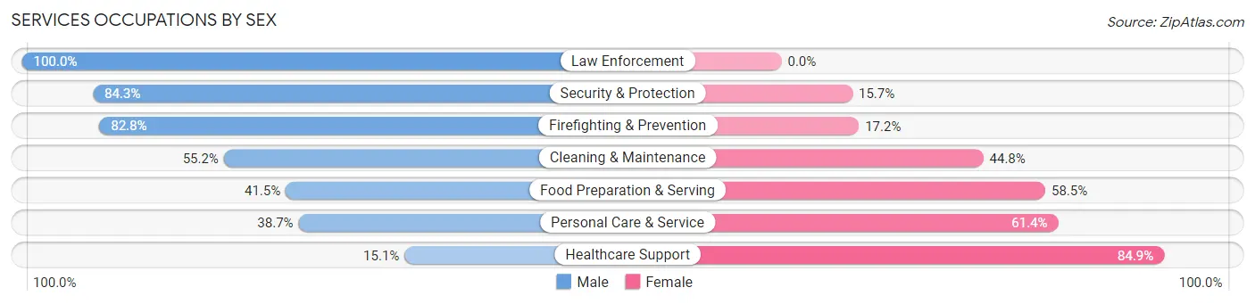 Services Occupations by Sex in Zip Code 64110