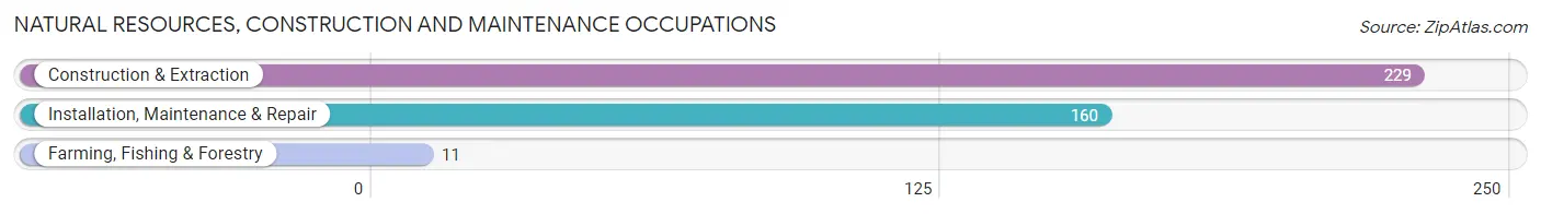 Natural Resources, Construction and Maintenance Occupations in Zip Code 64126