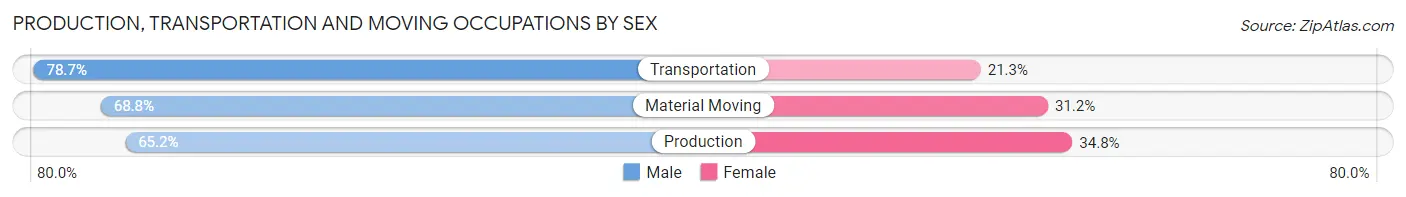 Production, Transportation and Moving Occupations by Sex in Zip Code 64128