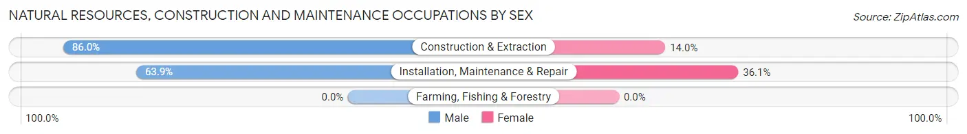 Natural Resources, Construction and Maintenance Occupations by Sex in Zip Code 64132