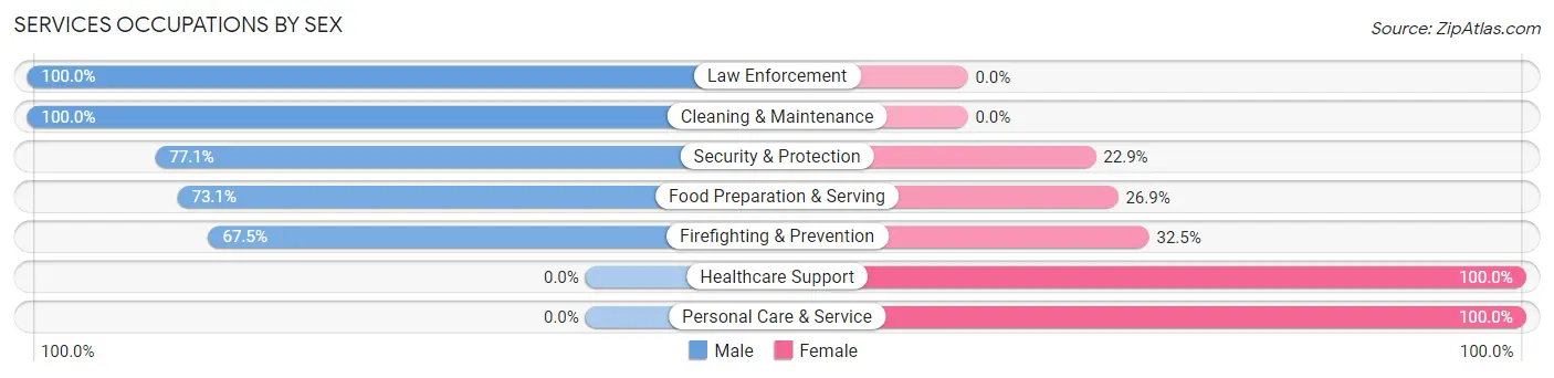 Services Occupations by Sex in Zip Code 64139