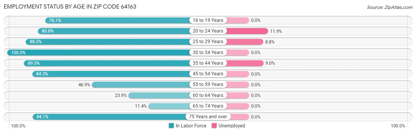 Employment Status by Age in Zip Code 64163