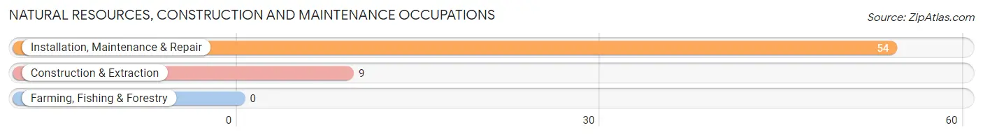 Natural Resources, Construction and Maintenance Occupations in Zip Code 64163