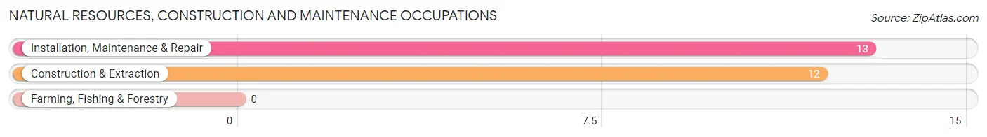 Natural Resources, Construction and Maintenance Occupations in Zip Code 64434