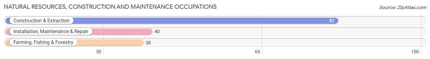 Natural Resources, Construction and Maintenance Occupations in Zip Code 64456