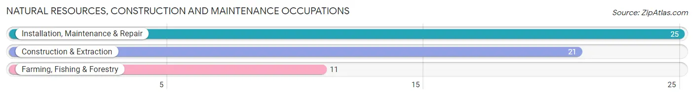 Natural Resources, Construction and Maintenance Occupations in Zip Code 64624