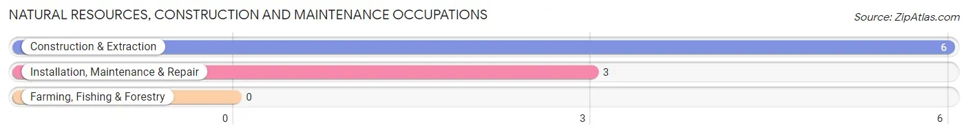 Natural Resources, Construction and Maintenance Occupations in Zip Code 64631