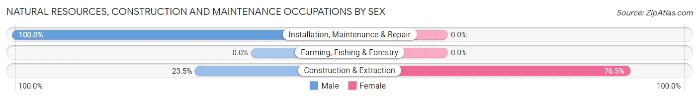 Natural Resources, Construction and Maintenance Occupations by Sex in Zip Code 64649