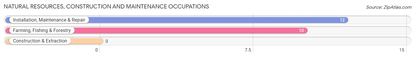 Natural Resources, Construction and Maintenance Occupations in Zip Code 64667