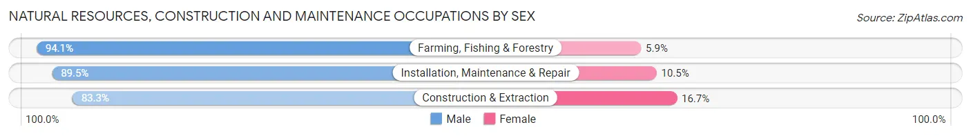 Natural Resources, Construction and Maintenance Occupations by Sex in Zip Code 64670