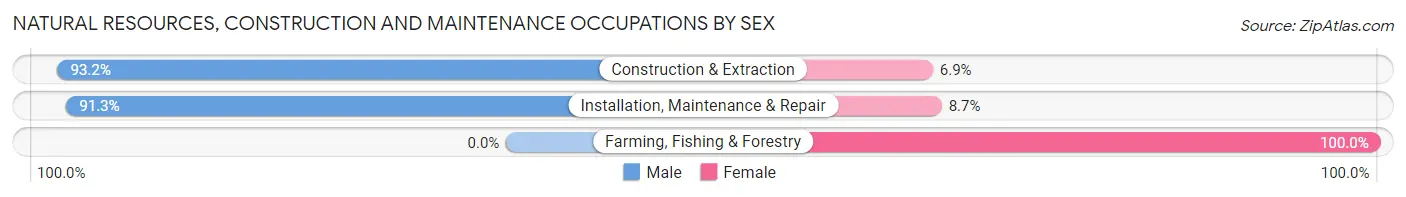 Natural Resources, Construction and Maintenance Occupations by Sex in Zip Code 64742