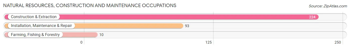 Natural Resources, Construction and Maintenance Occupations in Zip Code 64747