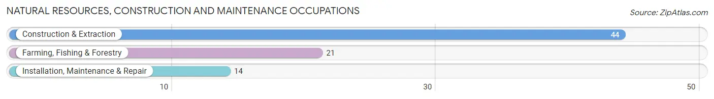 Natural Resources, Construction and Maintenance Occupations in Zip Code 64748