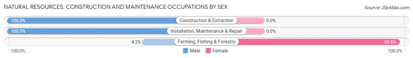 Natural Resources, Construction and Maintenance Occupations by Sex in Zip Code 64756