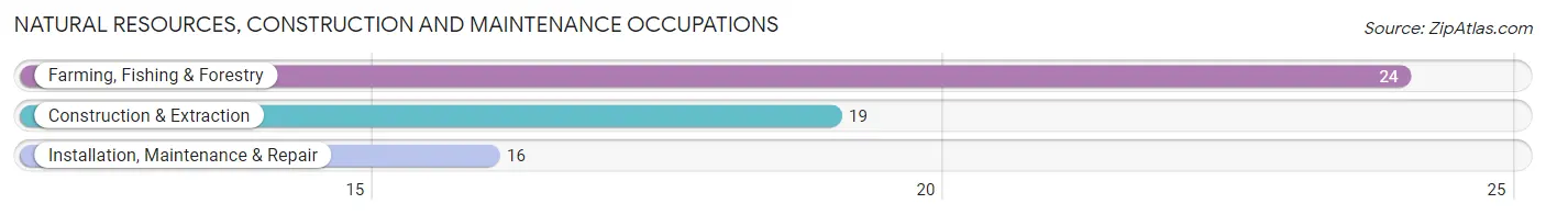 Natural Resources, Construction and Maintenance Occupations in Zip Code 64778