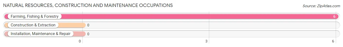 Natural Resources, Construction and Maintenance Occupations in Zip Code 64781