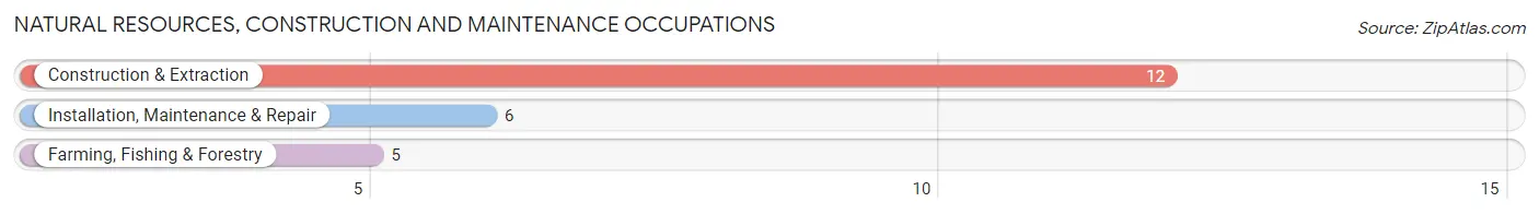 Natural Resources, Construction and Maintenance Occupations in Zip Code 64783