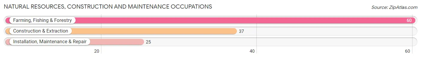 Natural Resources, Construction and Maintenance Occupations in Zip Code 64784