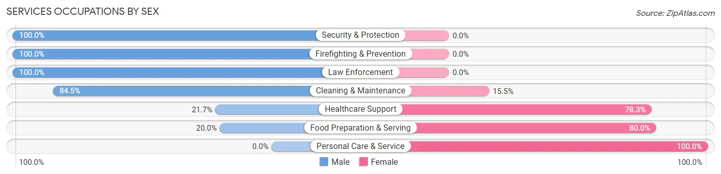 Services Occupations by Sex in Zip Code 64834