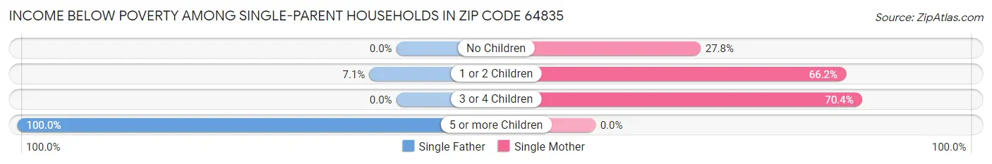 Income Below Poverty Among Single-Parent Households in Zip Code 64835