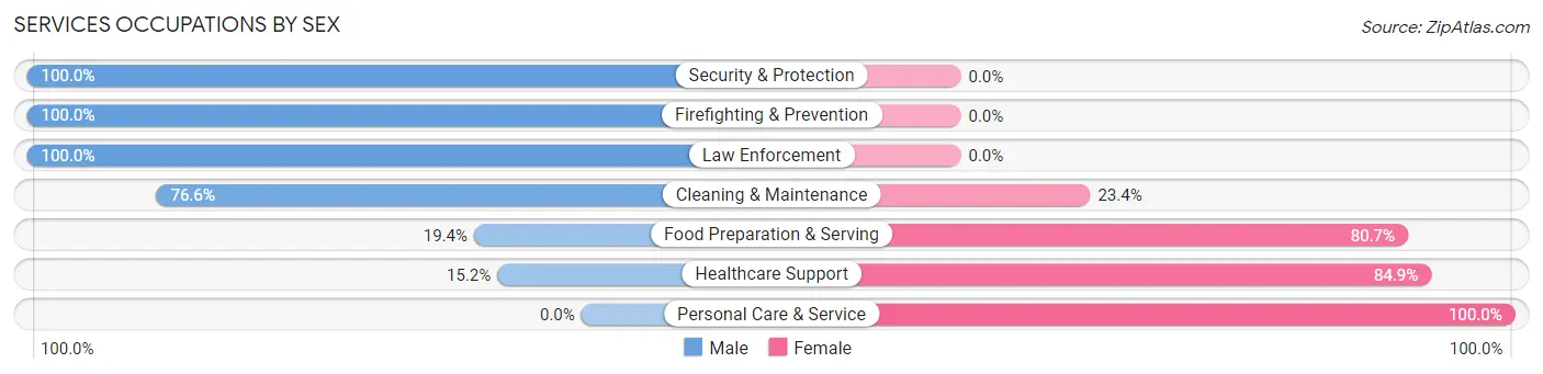 Services Occupations by Sex in Zip Code 64843