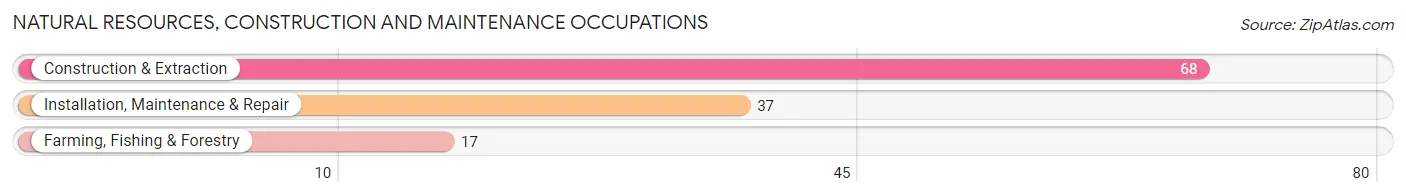 Natural Resources, Construction and Maintenance Occupations in Zip Code 64844