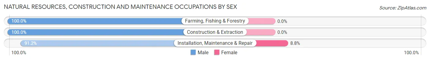Natural Resources, Construction and Maintenance Occupations by Sex in Zip Code 64855