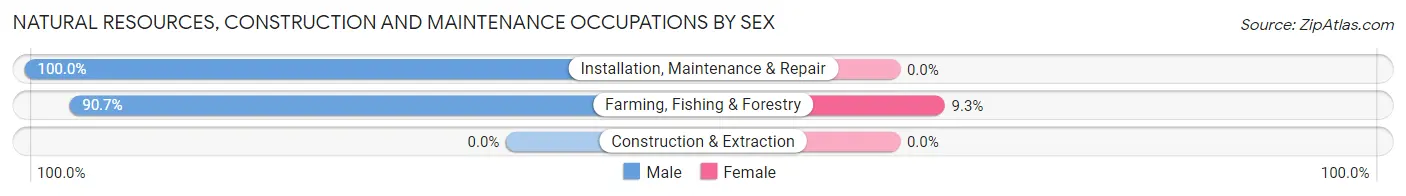 Natural Resources, Construction and Maintenance Occupations by Sex in Zip Code 64861