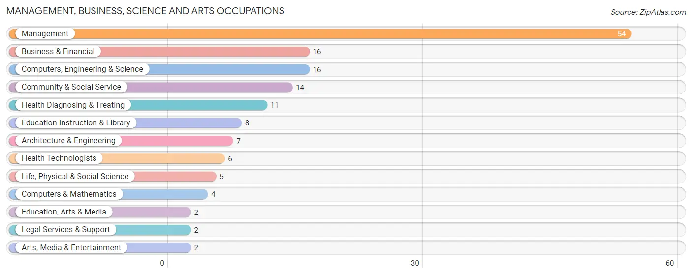 Management, Business, Science and Arts Occupations in Zip Code 64866