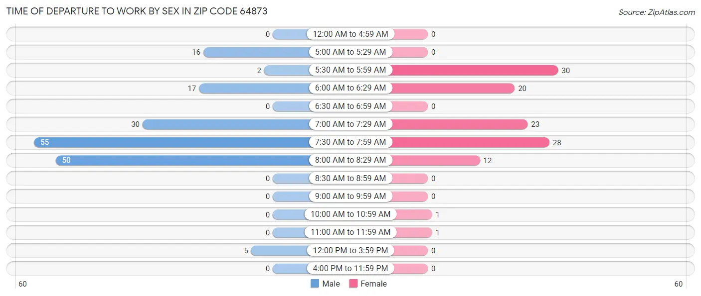 Time of Departure to Work by Sex in Zip Code 64873