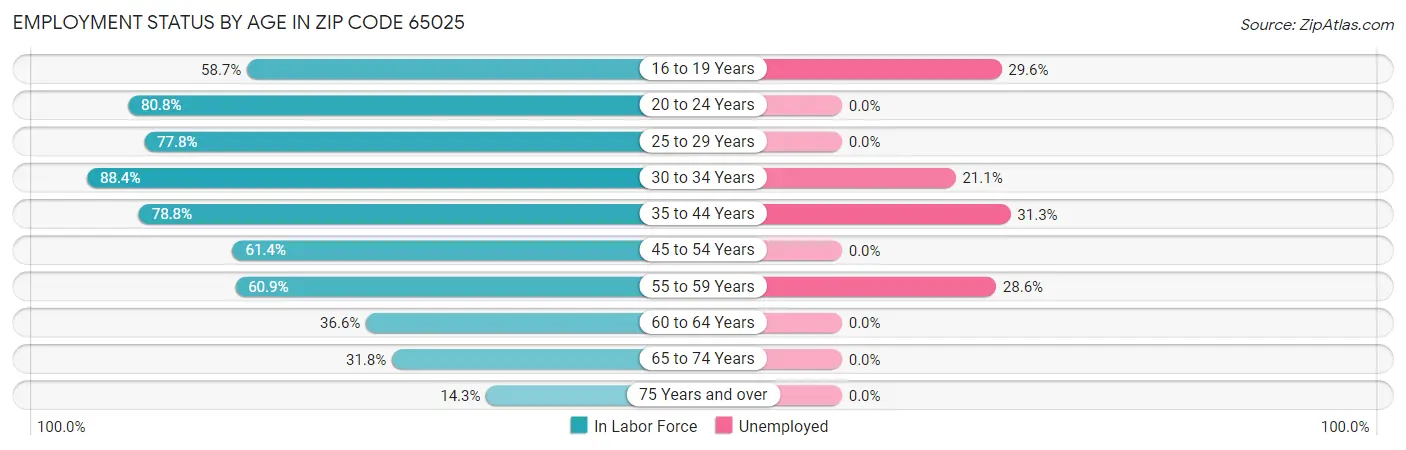 Employment Status by Age in Zip Code 65025